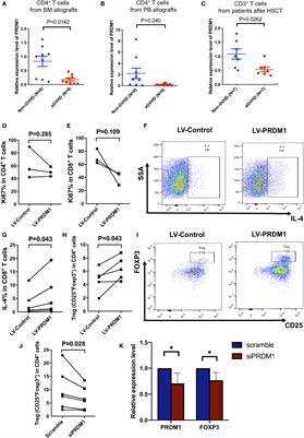 PRDM1 Drives Human Primary T Cell Hyporesponsiveness by Altering the T Cell Transcriptome and Epigenome